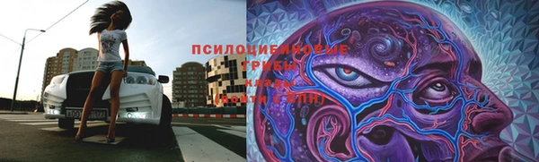 mix Богородск